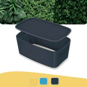 Leitz Opbevaringsboks MyBox Cosy Small med låg Fløjlsgrå